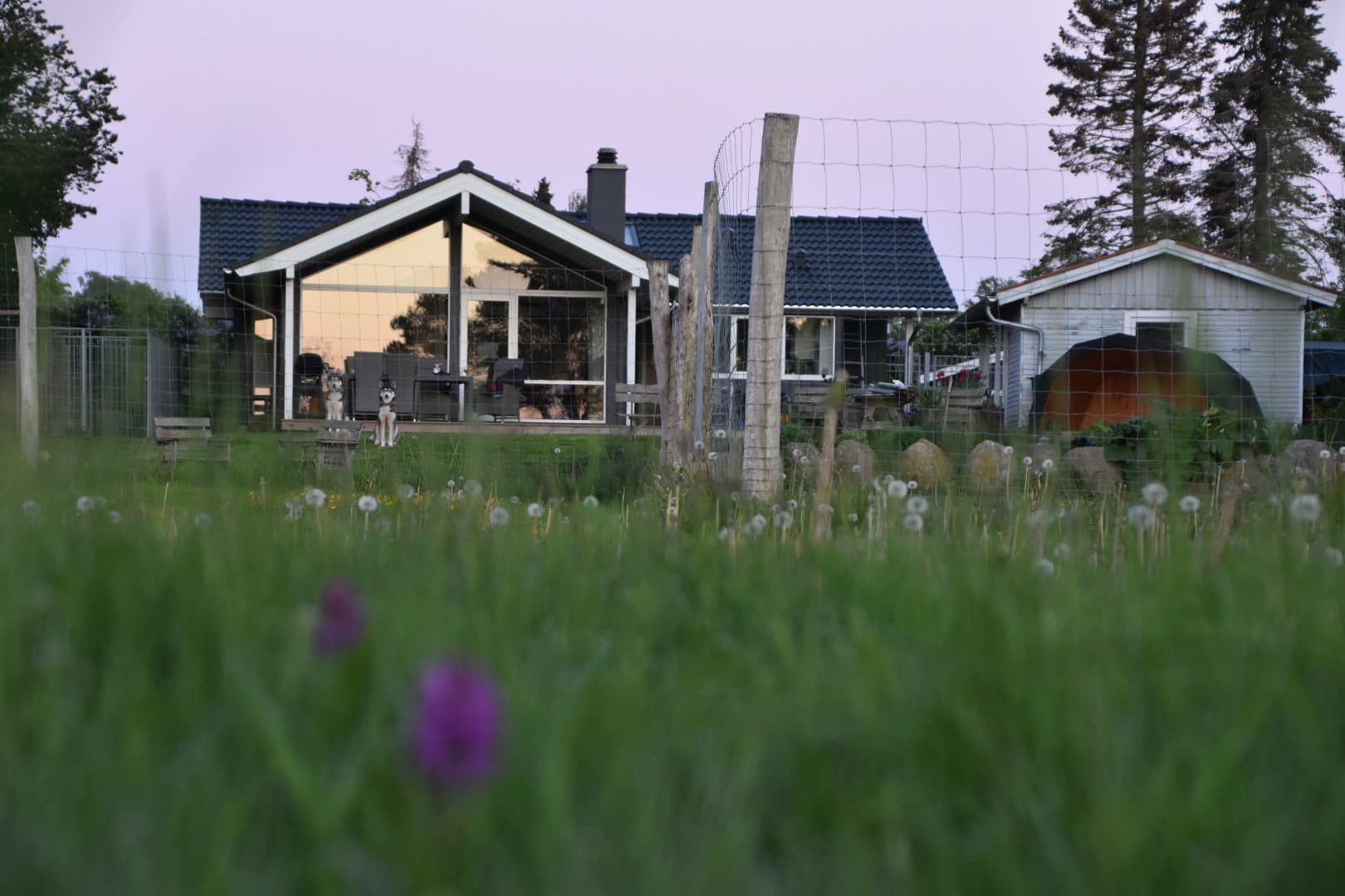 Sommerhus med havudsigt og stor indhegnet have