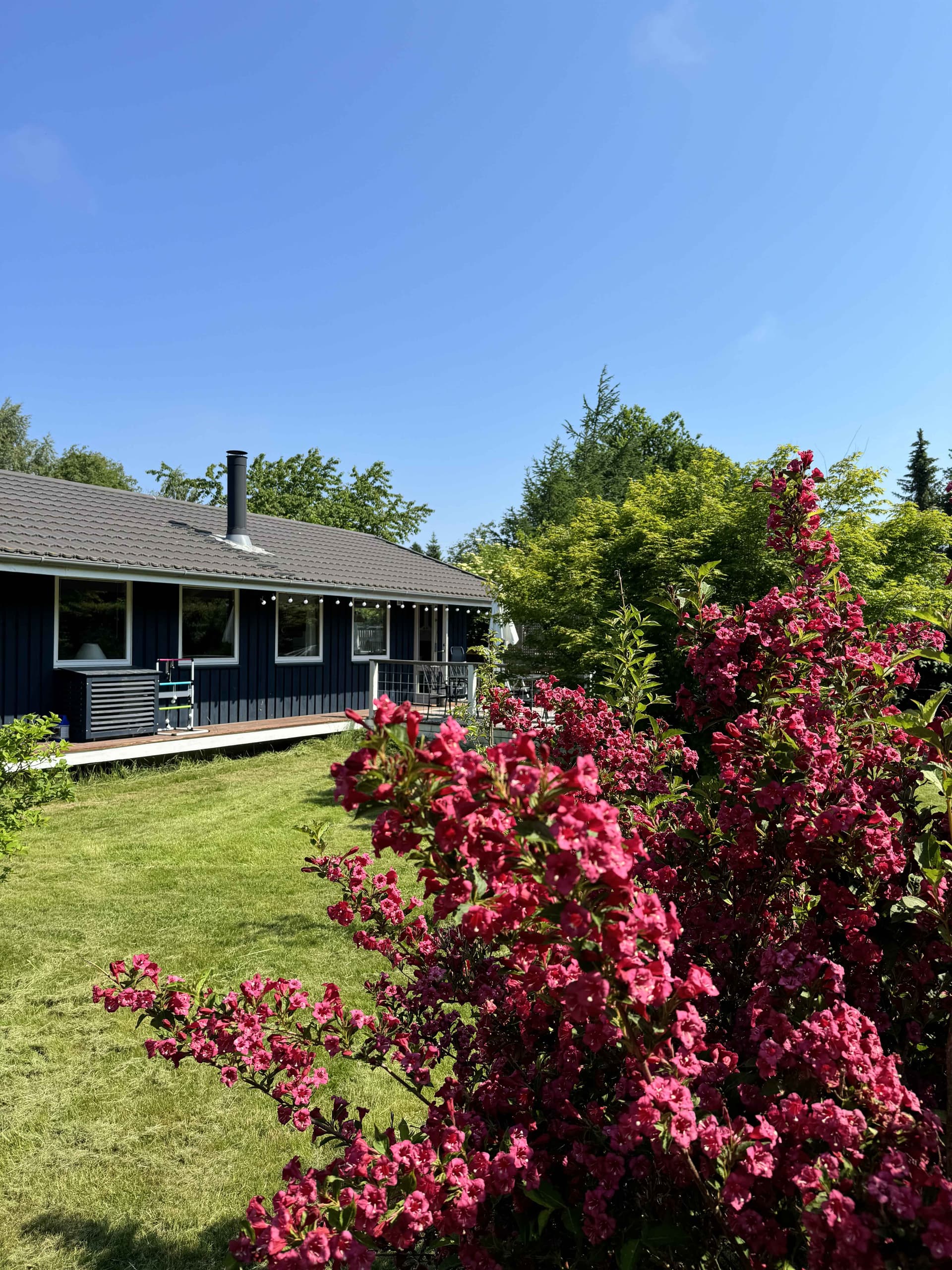 Idylist sommerhus med kort afstand strand