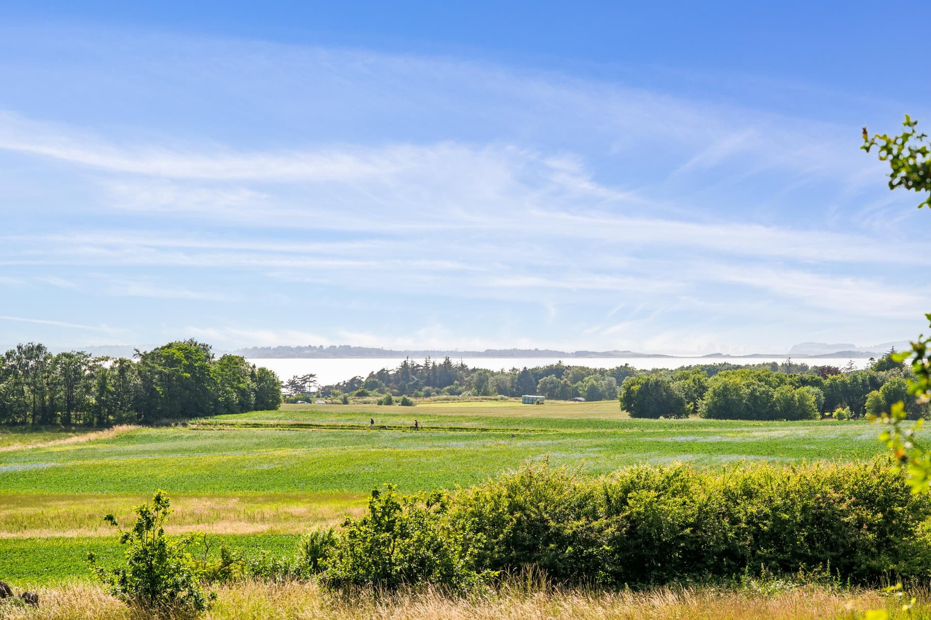 Abevej 3, Ebeltoft - billede 1
