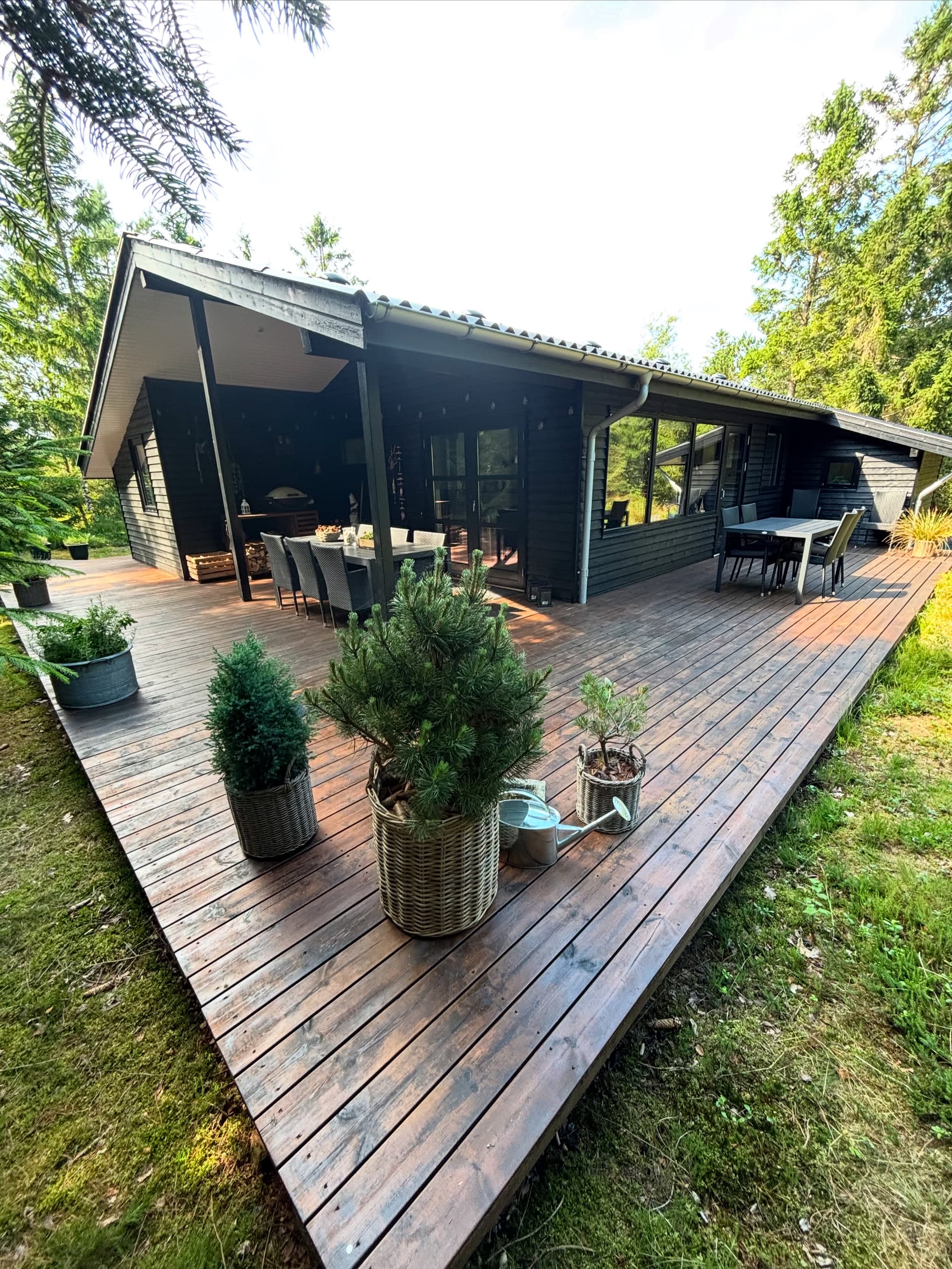 Sommerhus Fauna Hou, Hals, 300 meter fra havet